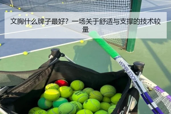 文胸什么牌子最好？一场关于舒适与支撑的技术较量